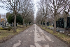 Spaziergang am Wr. Zentralfriedhof