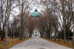 Spaziergang am Wr. Zentralfriedhof