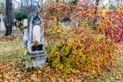 Farben am Friedhof St. Marx